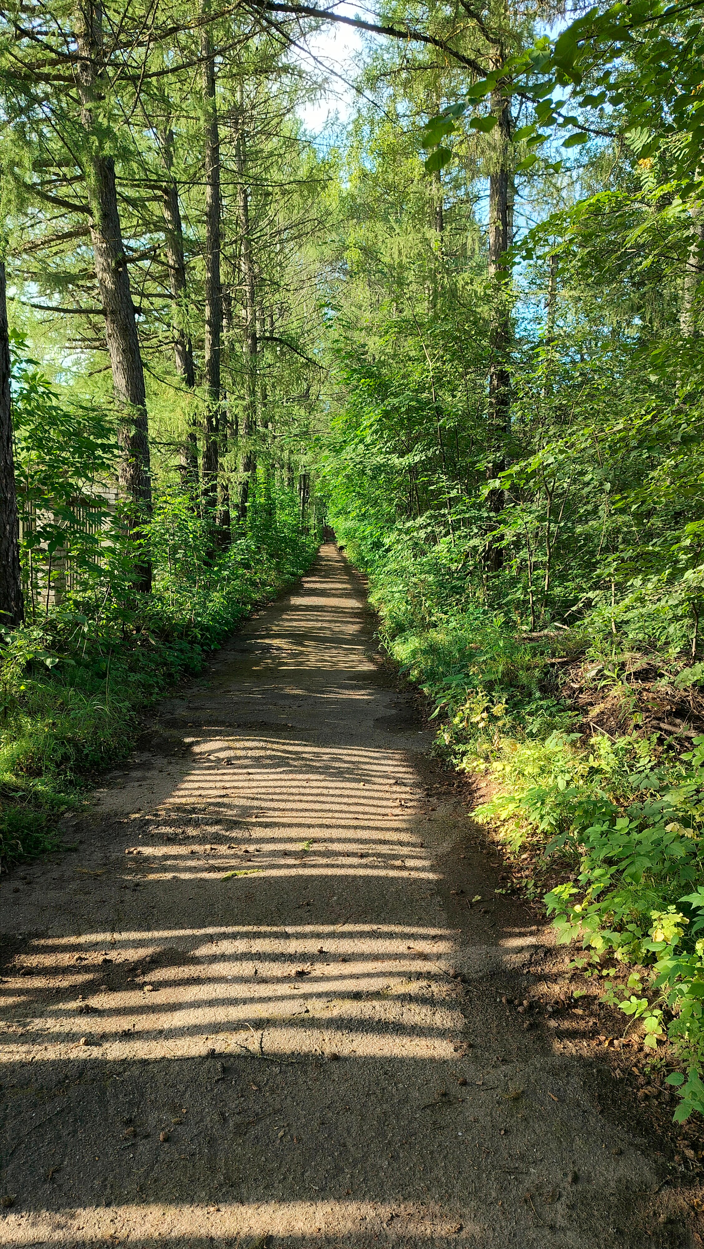 Фото Парк Отель