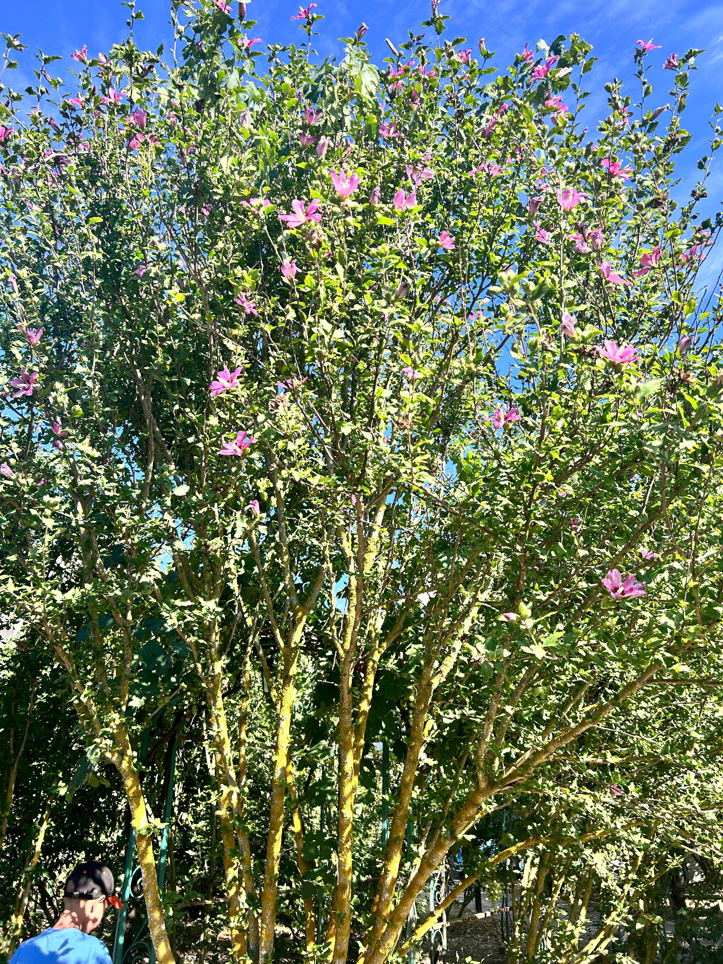 Фото Казантип центр