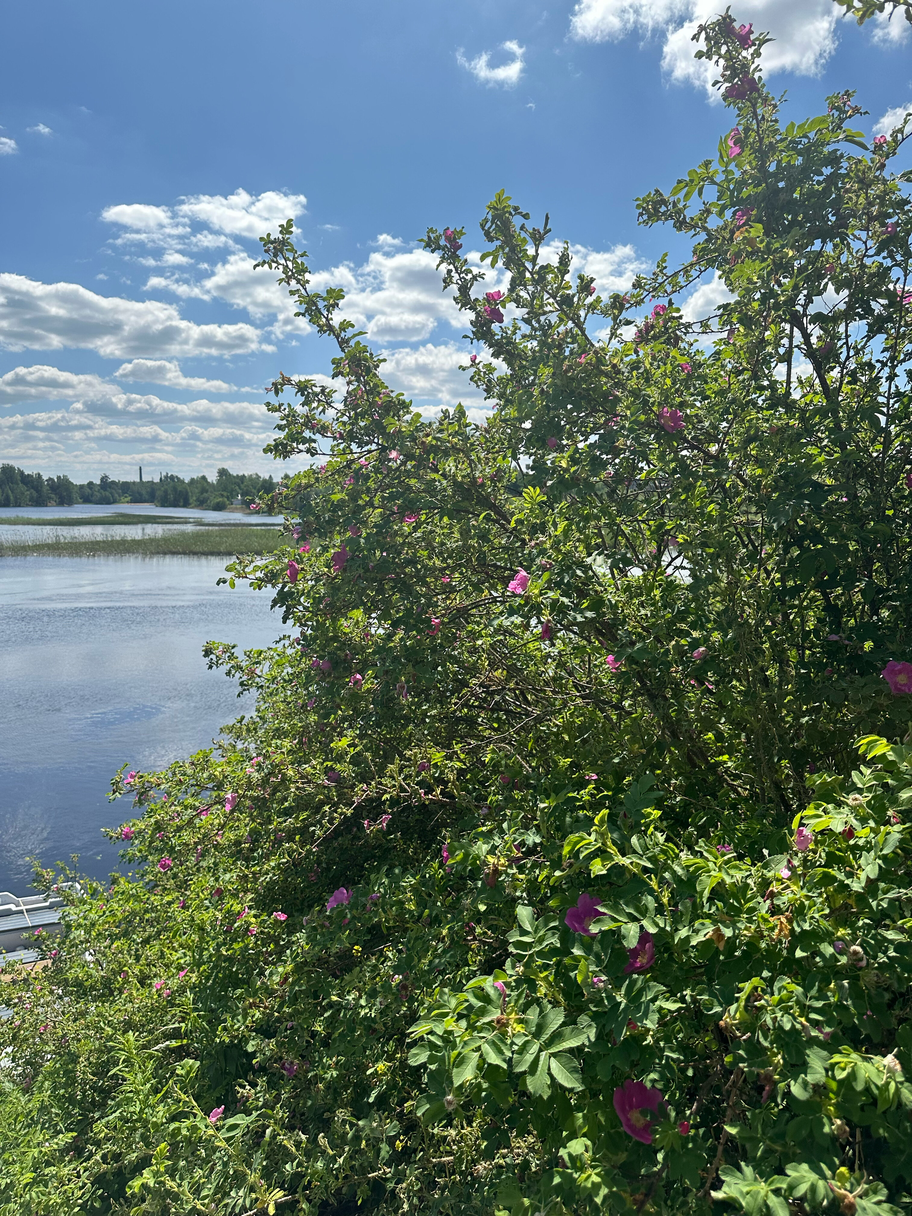 Фото Загородный дом Räisälä