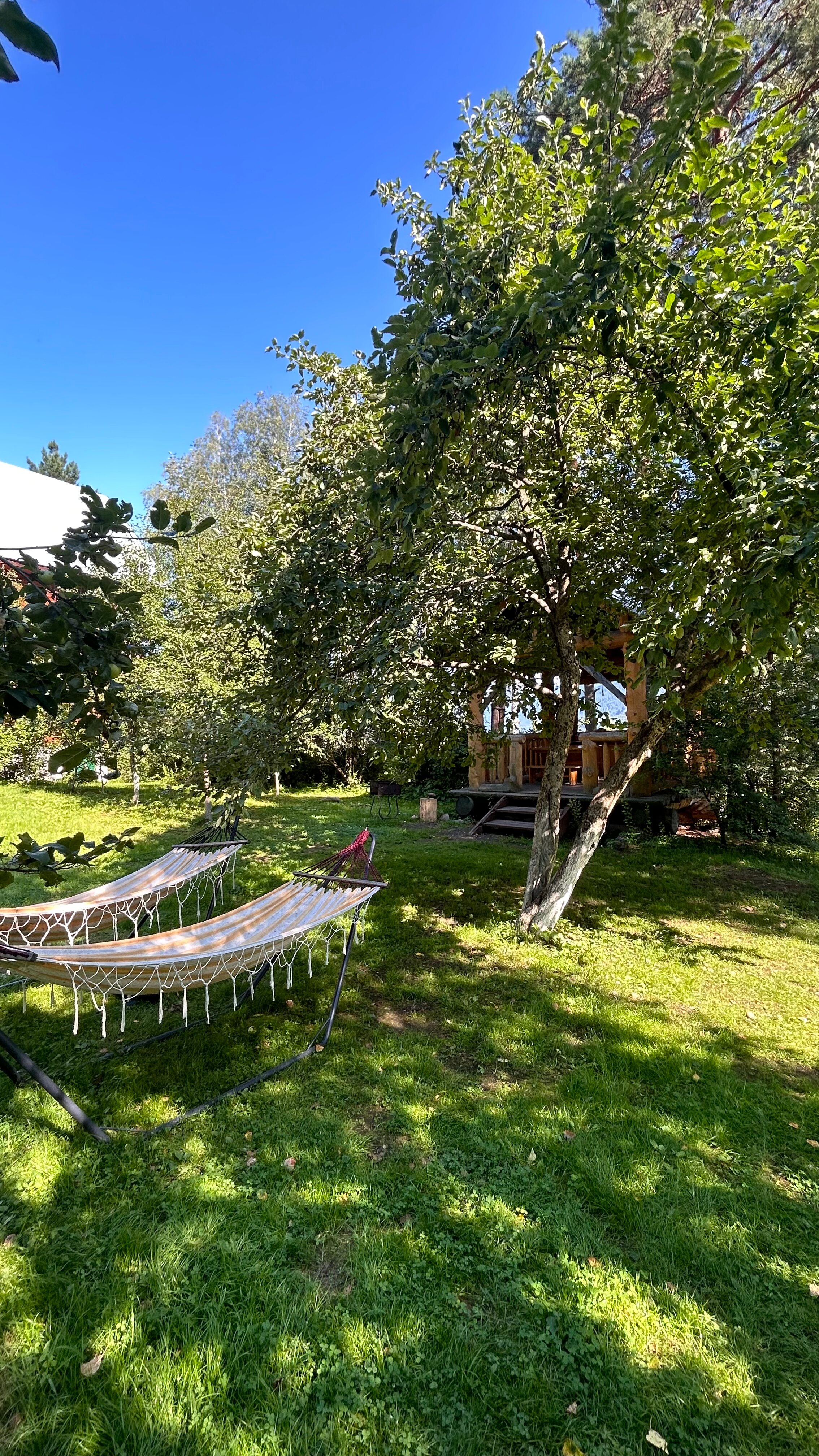 Фото Телецкие Терема