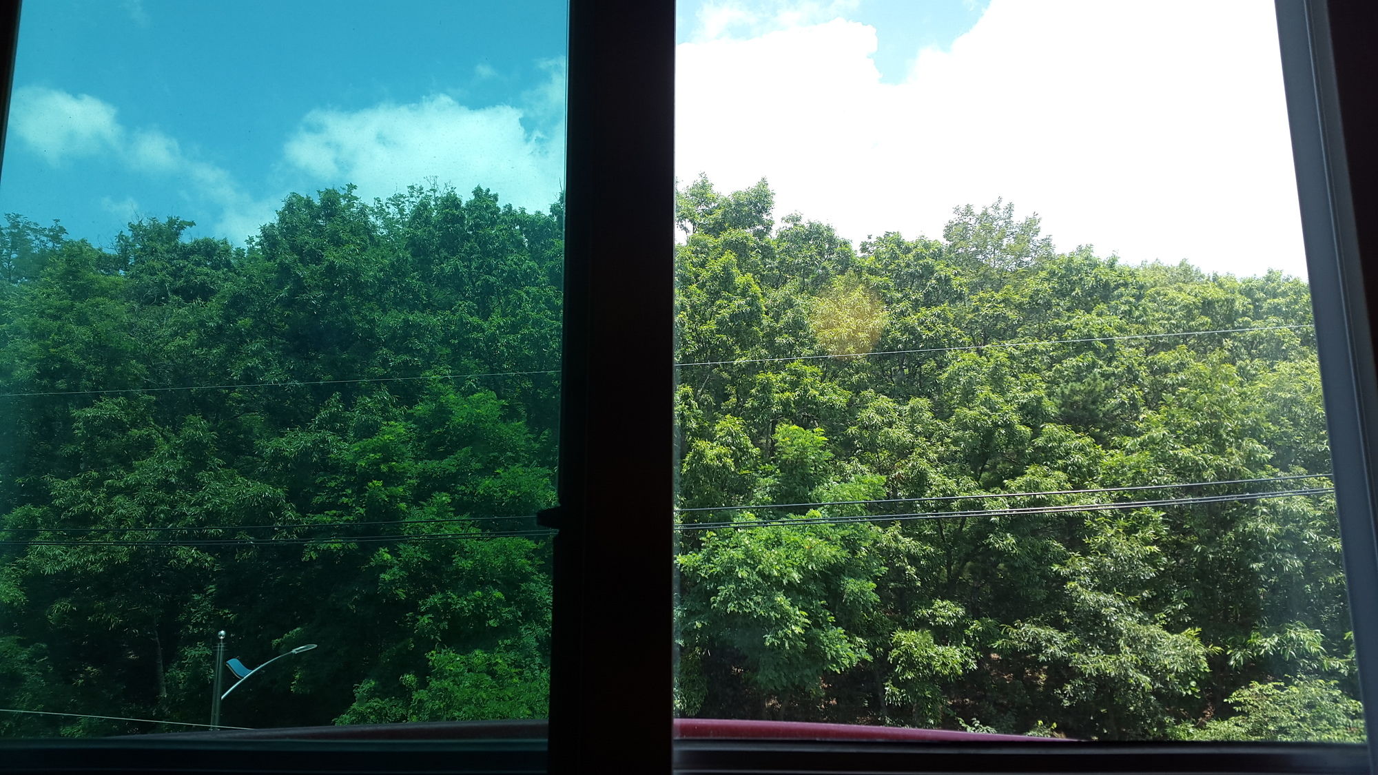 Фото Saipan Motel with Sea View