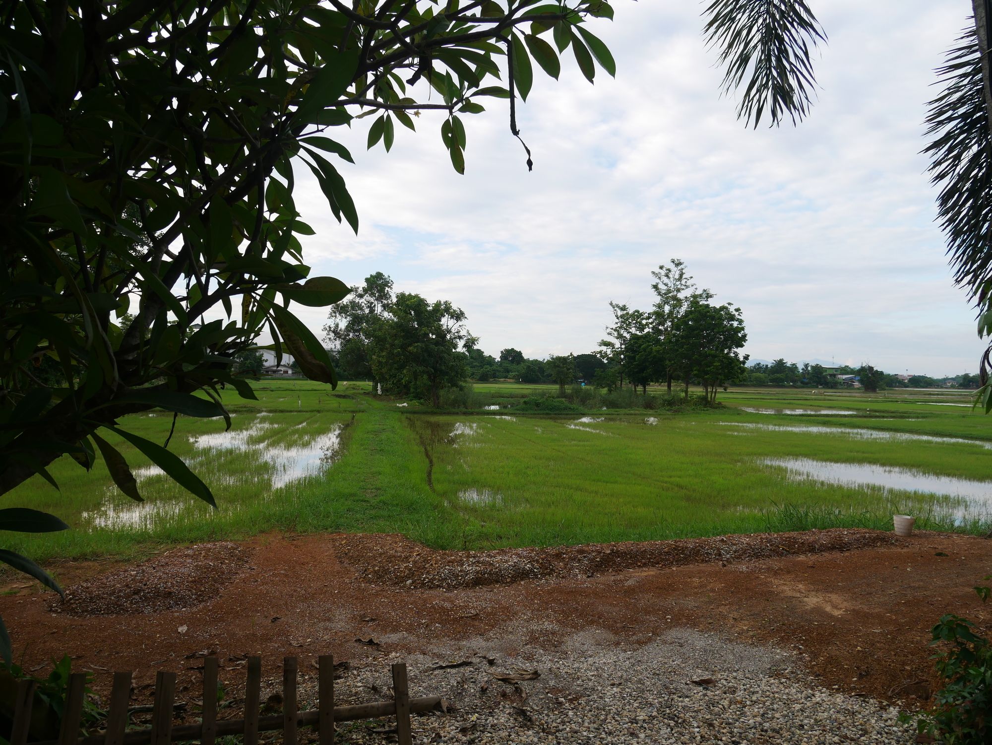 Фото Baan Suan Palm Resort