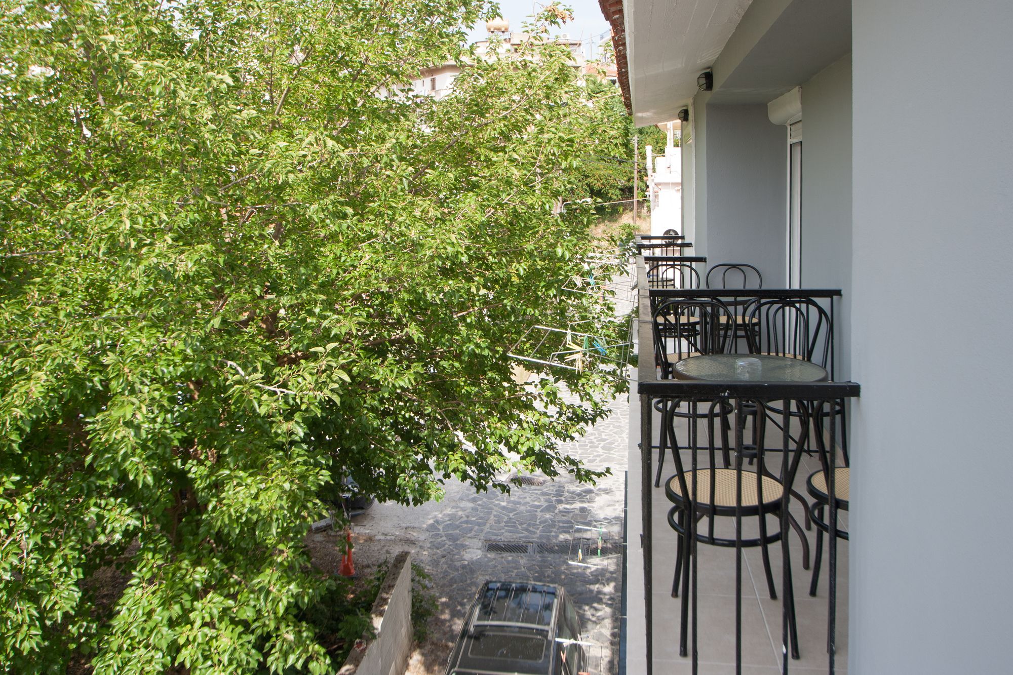 Фото Pension Avocado