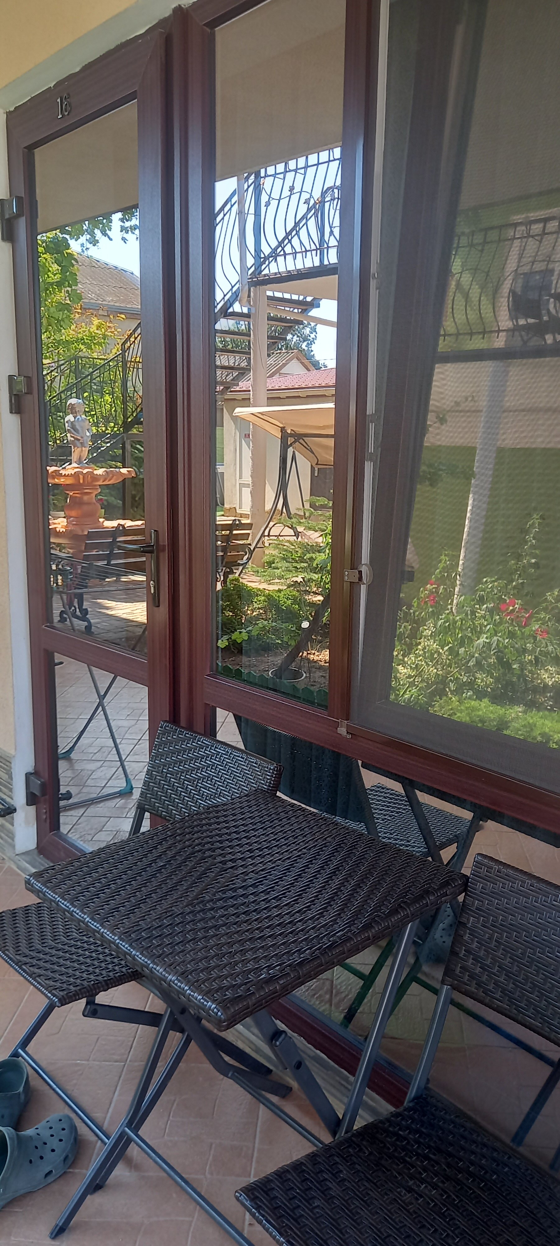 Фото Колибри