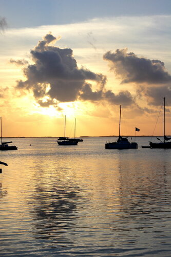 Внешний вид отеля The Pelican Key Largo Cottages в Ки-Ларго, фото 5