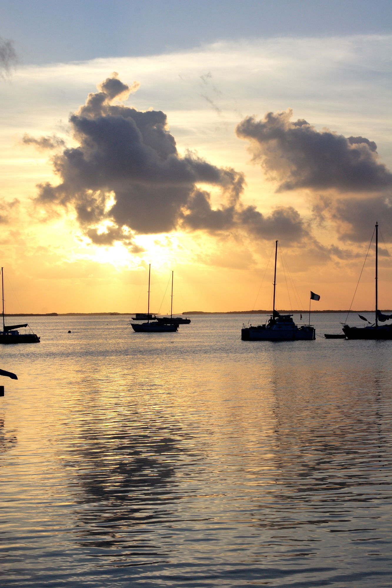 Фото The Pelican Key Largo Cottages