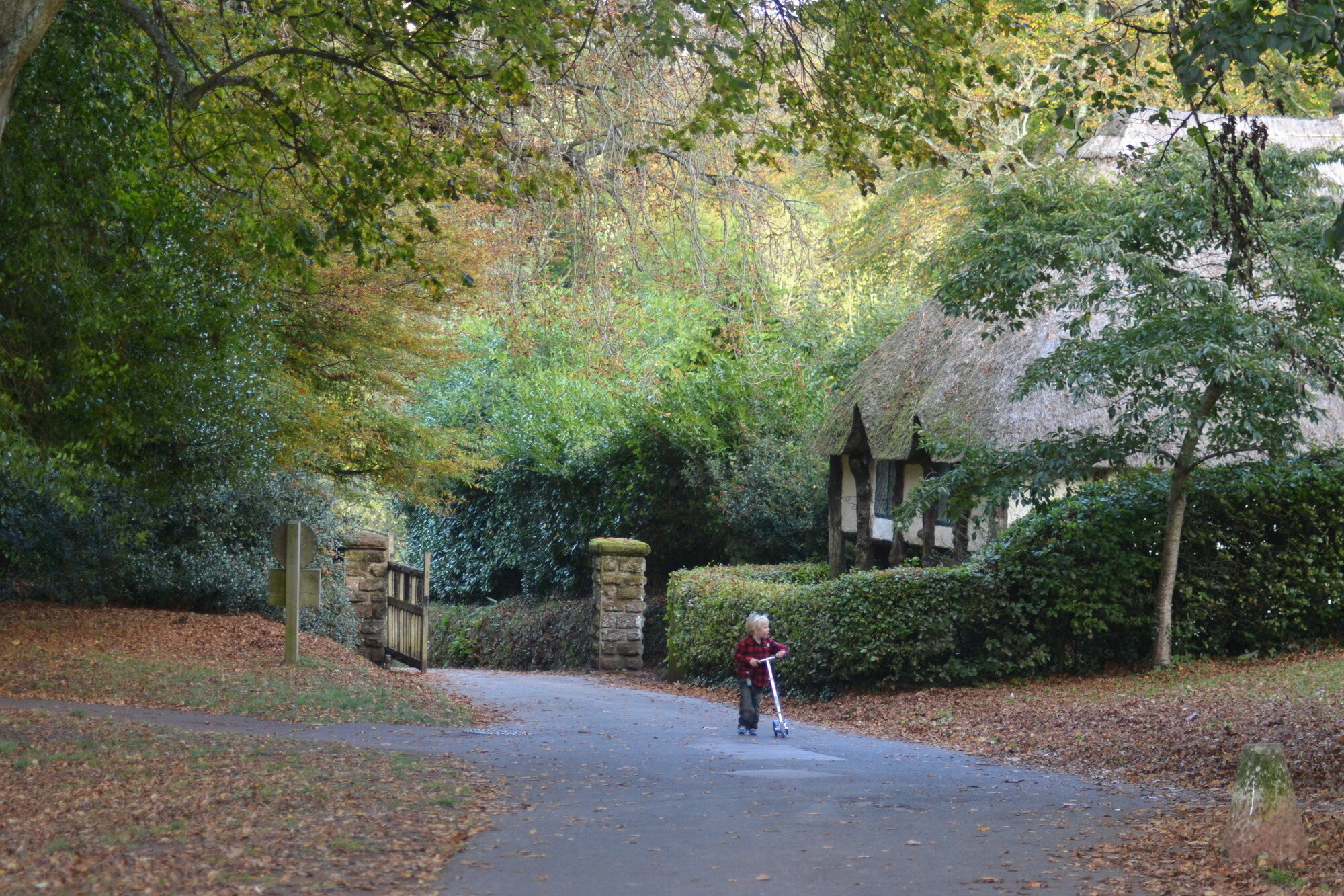 Фото The Sandpiper Guest House