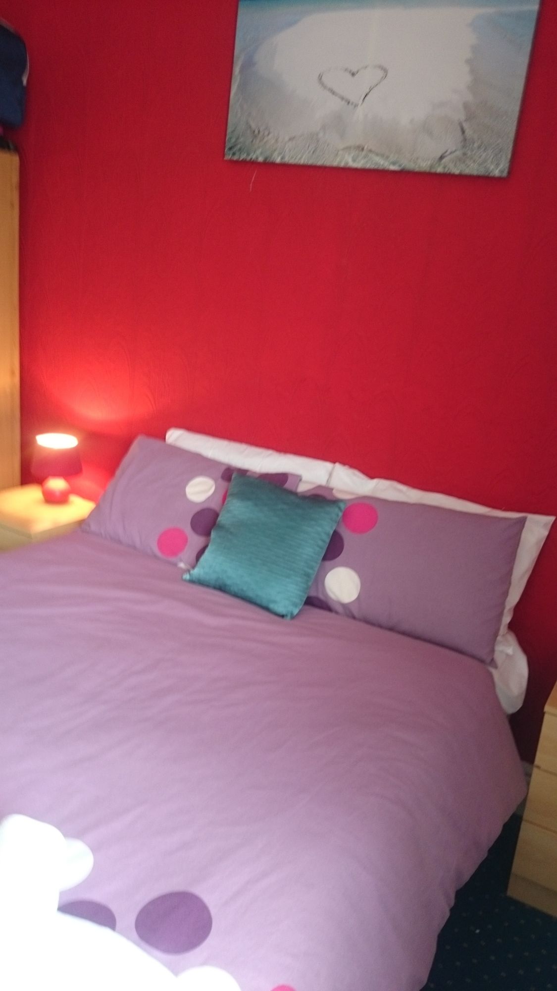 Фото Tulip Hotel