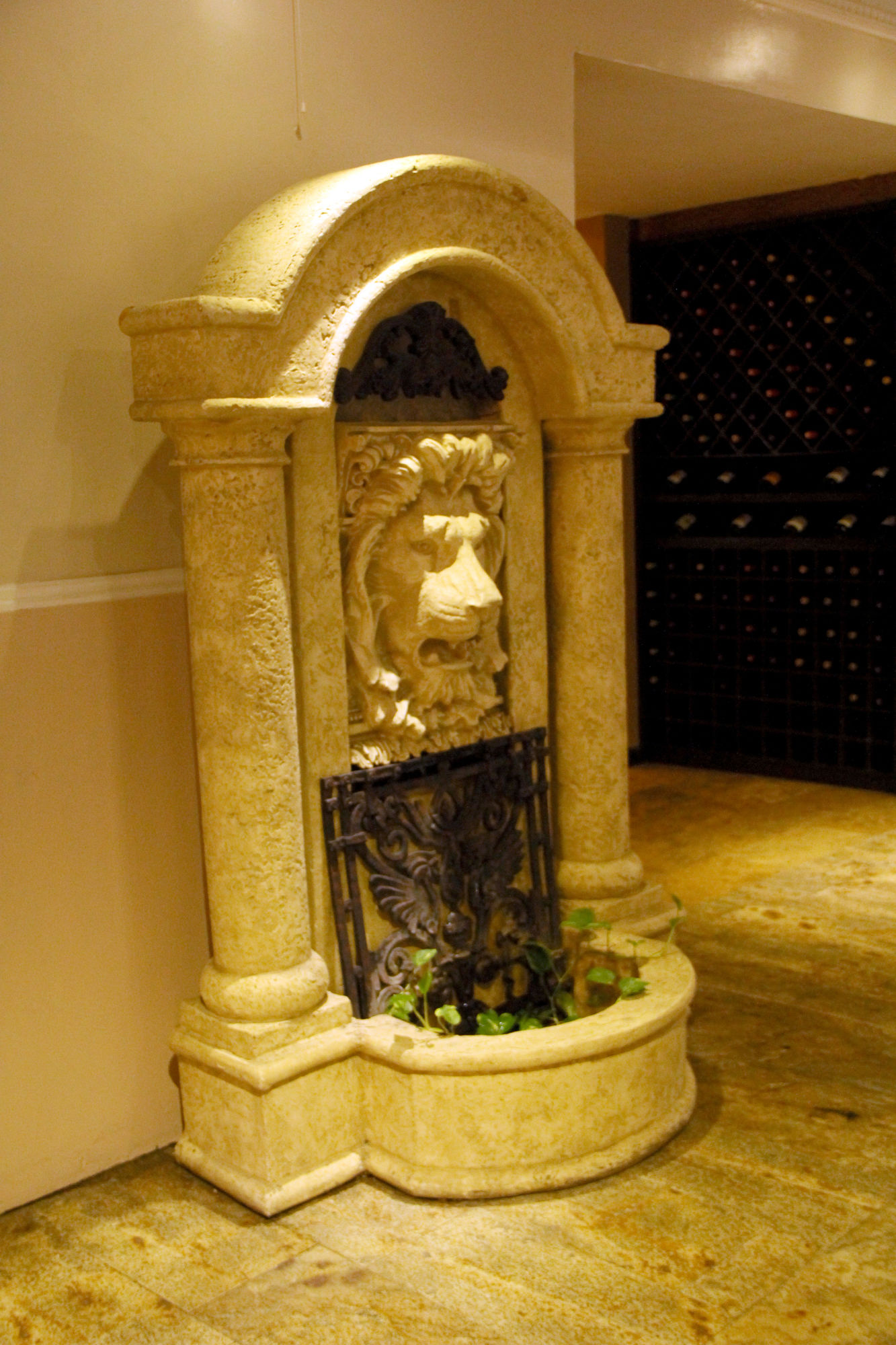 Фото Clear Essence California SPA & Wellness Resort