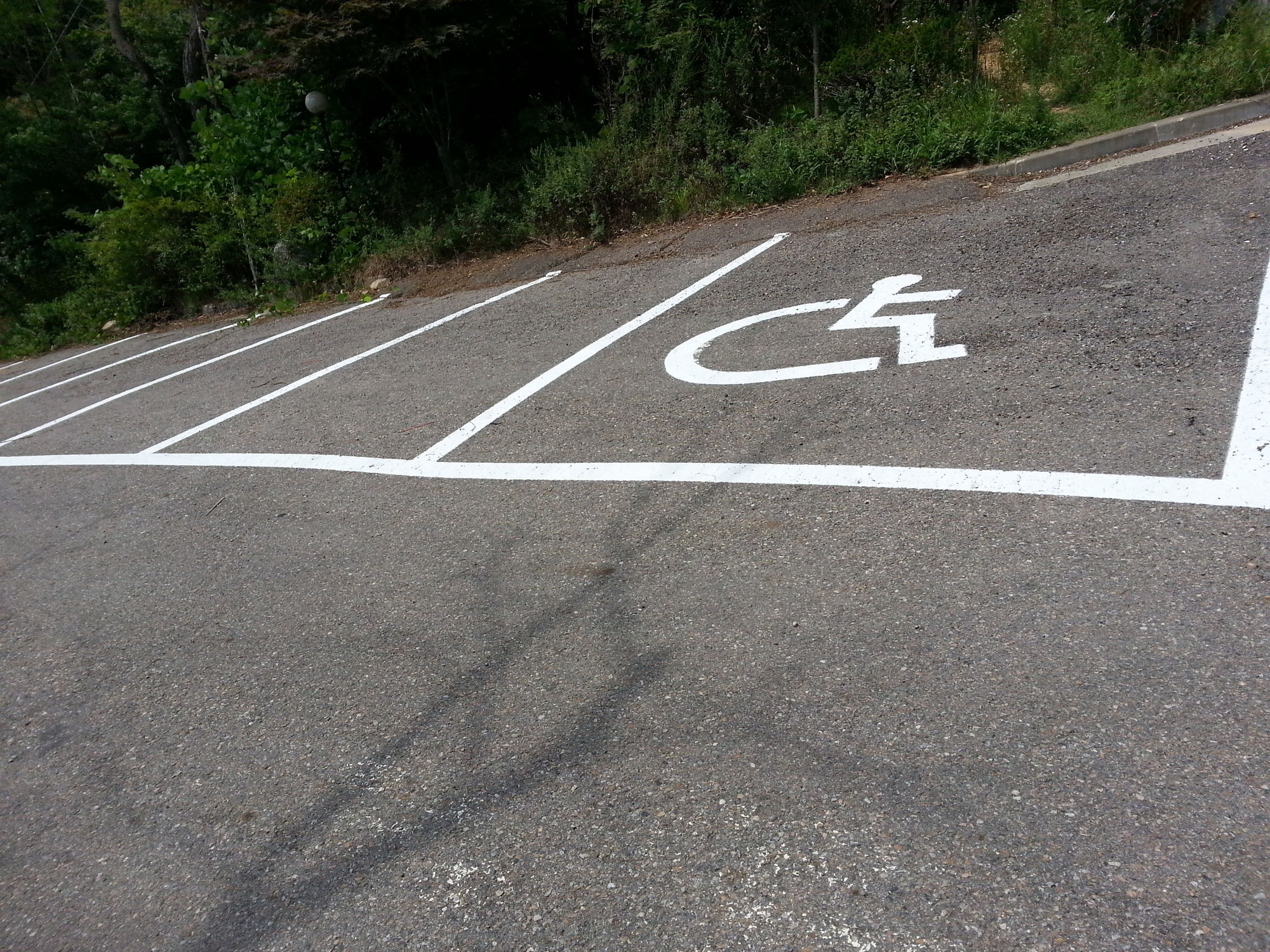 Фото Hotel Seaworld