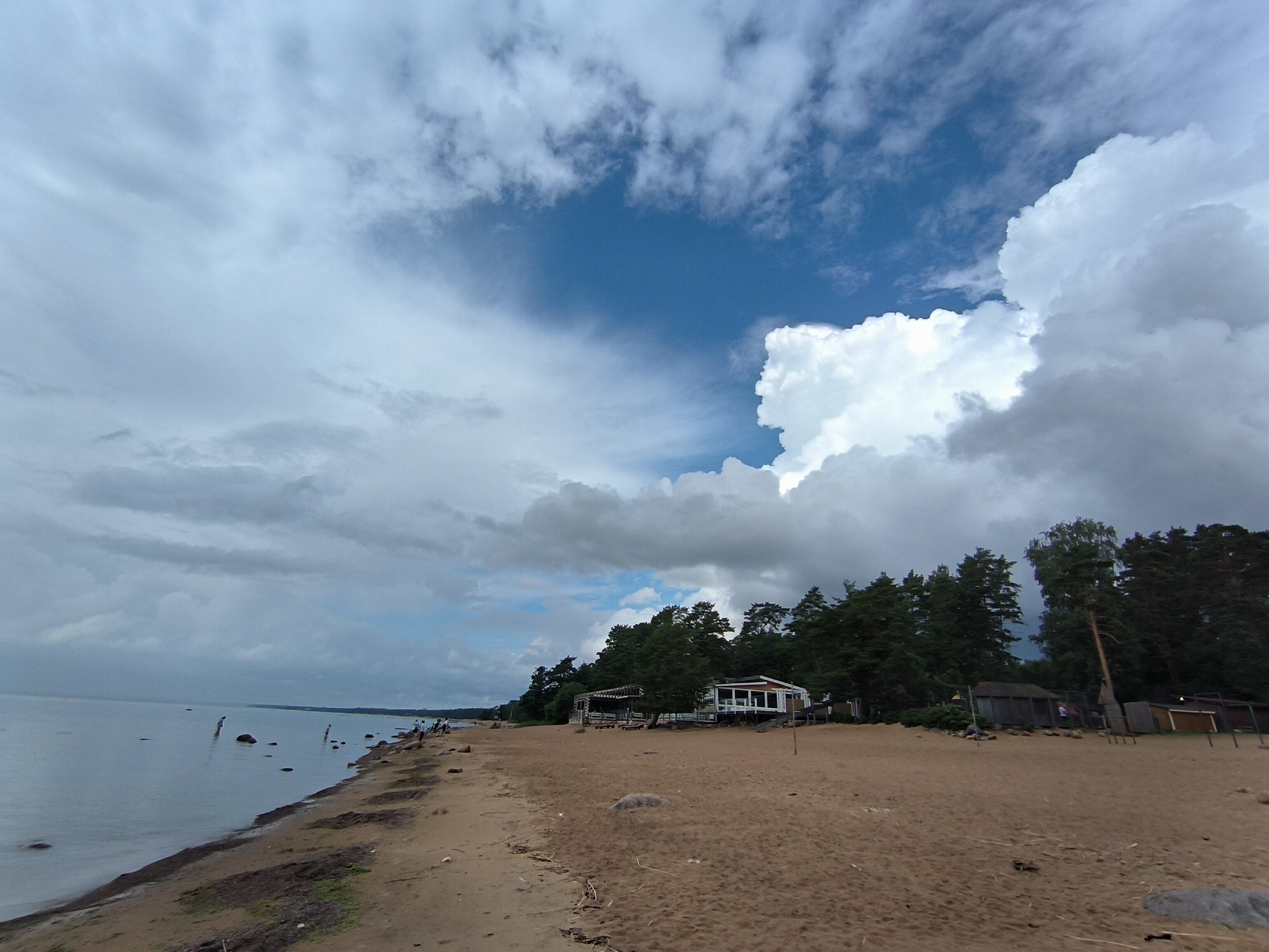 Фото Комарово