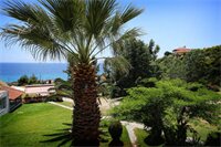 Фото Alexandrina