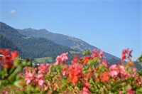 Фото Haus Susanne