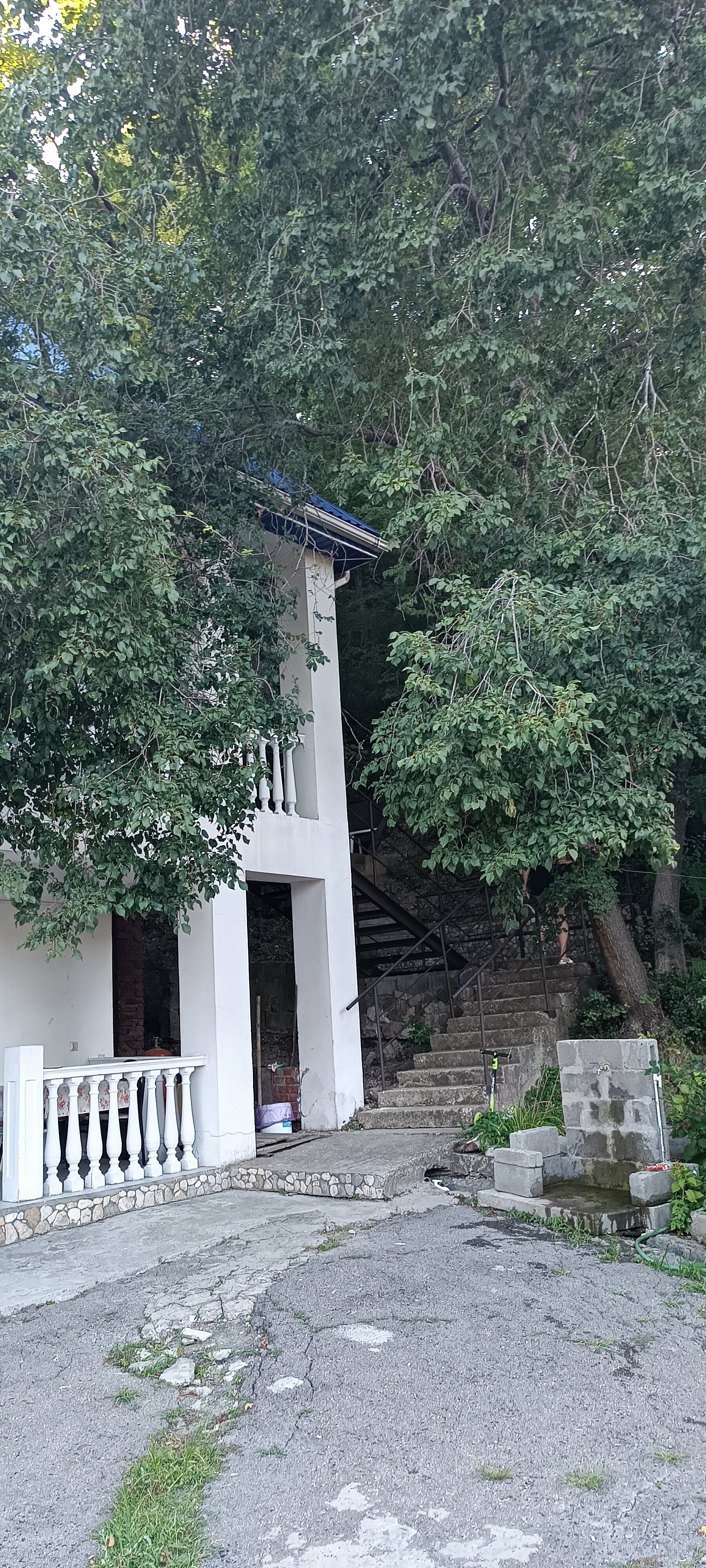 Фото Встреча