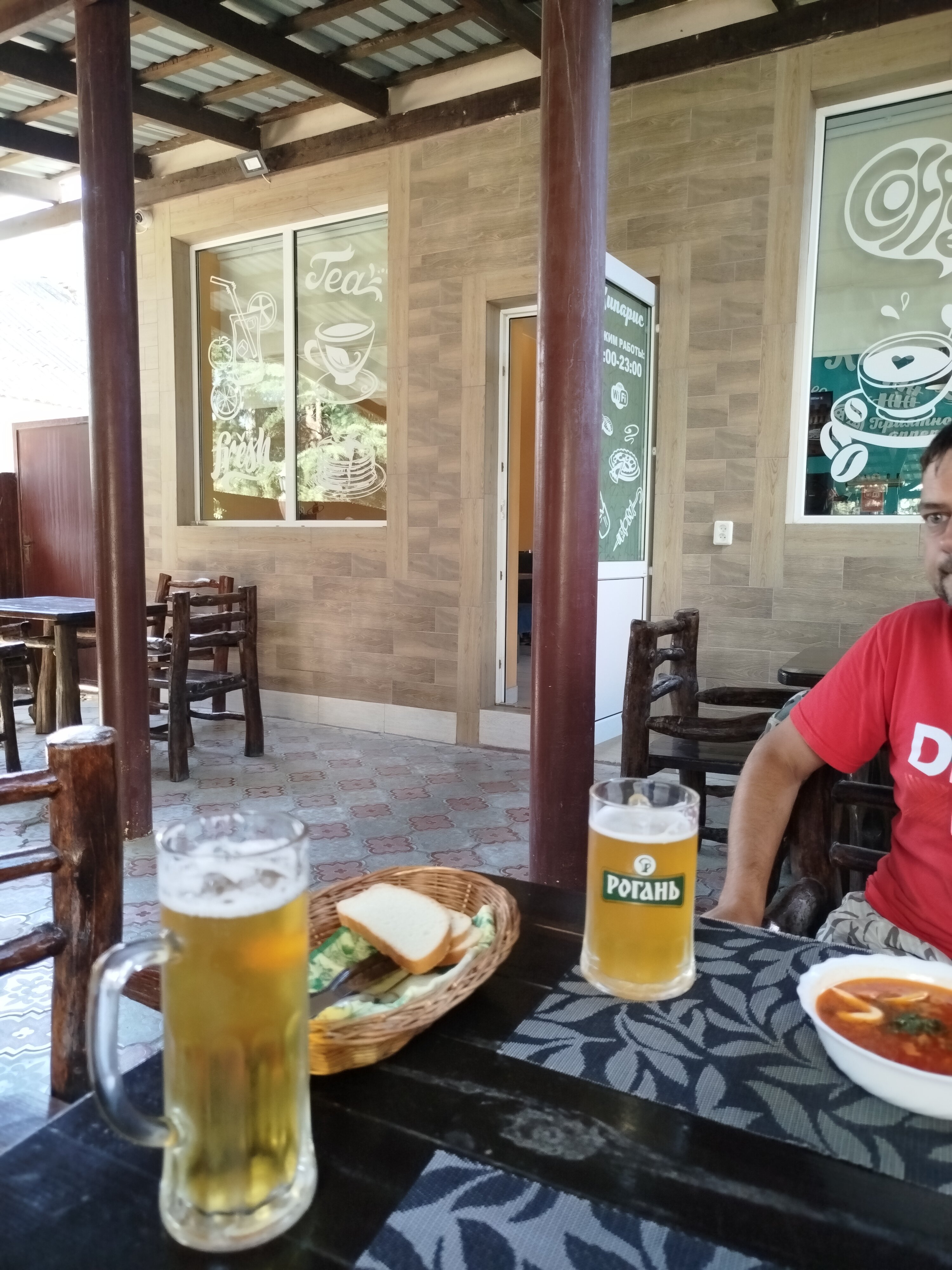 Фото Кипарис