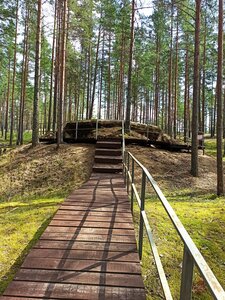 Комбинированный исторический и эколого-просветительский маршрут Большое Кузёмкино – Нарвский залив (Leningrad Region, Kingiseppskiy District, Gosudarstvenny prirodny zakaznik Kurgalskiy, peshekhodny ekologicheskiy marshrut Bolshoye Kuzemkino - Narvskiy zaliv), landmark, attraction