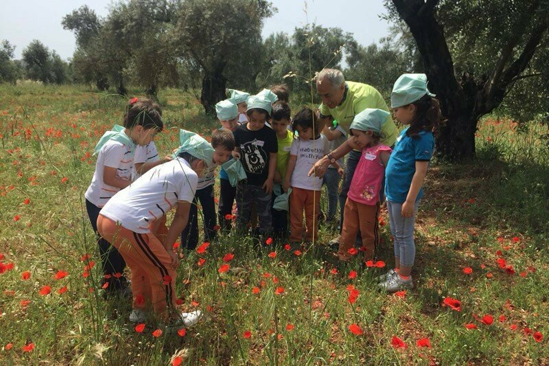 Agricultural enterprise Zeytinpark, Antalya, photo