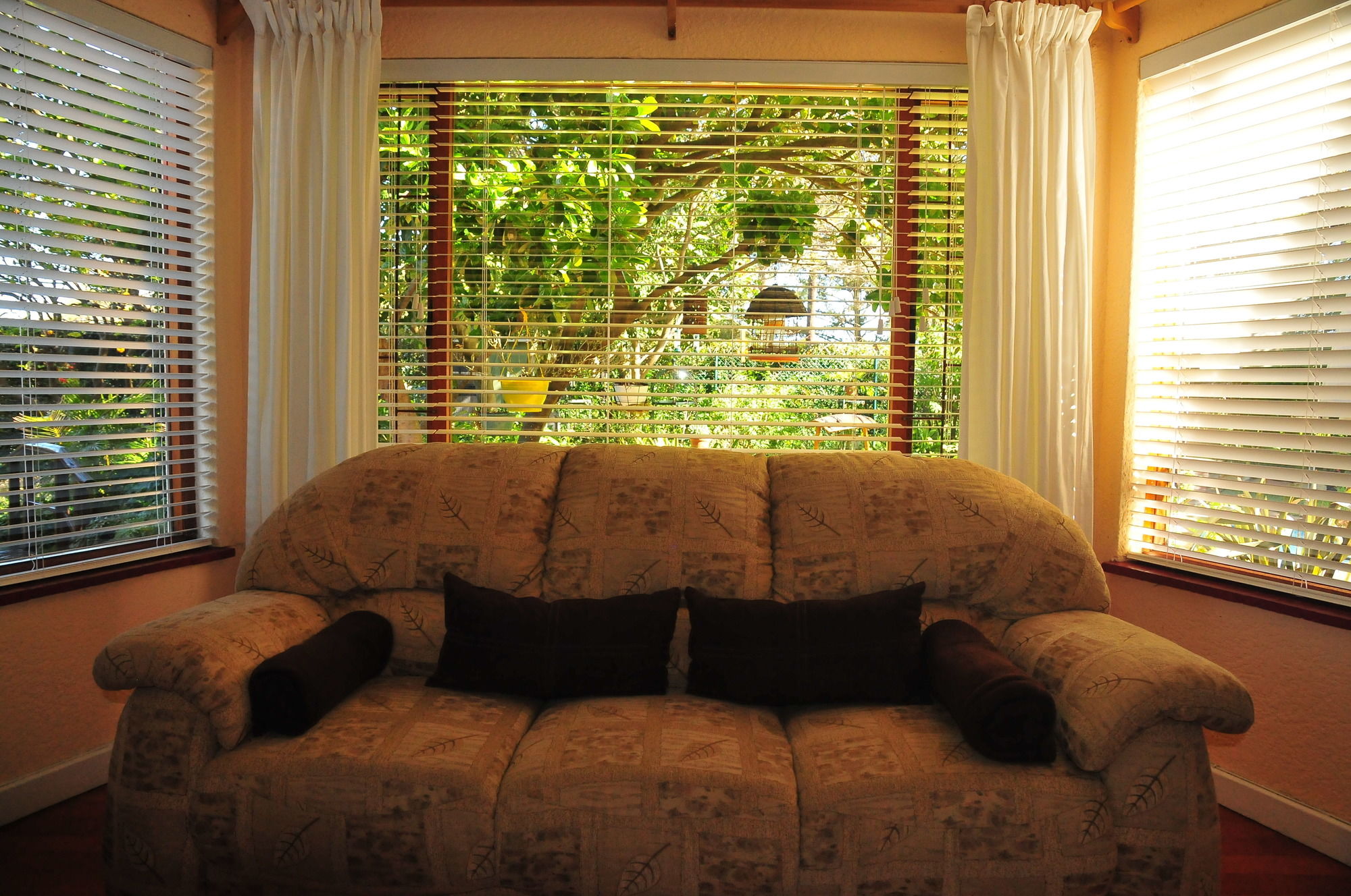 Фото Bradclin House