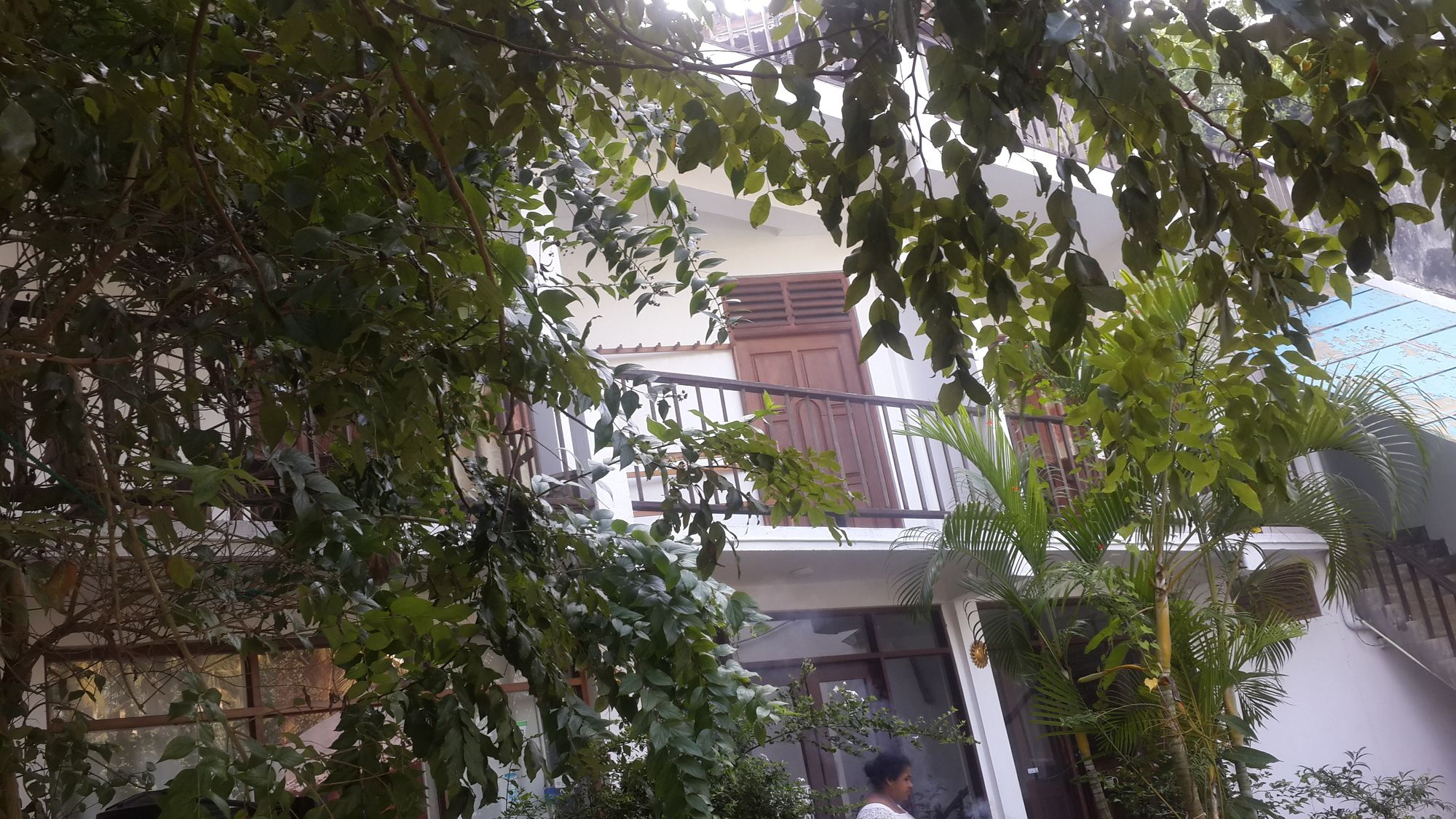 Фото Mirissa Beach Inn