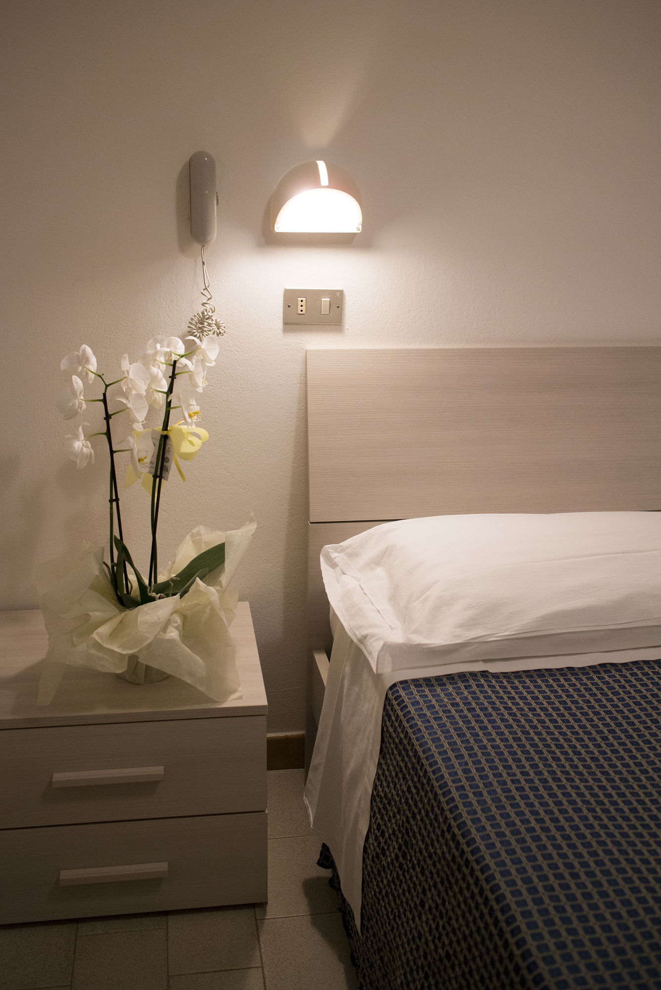 Фото Hotel Atlas