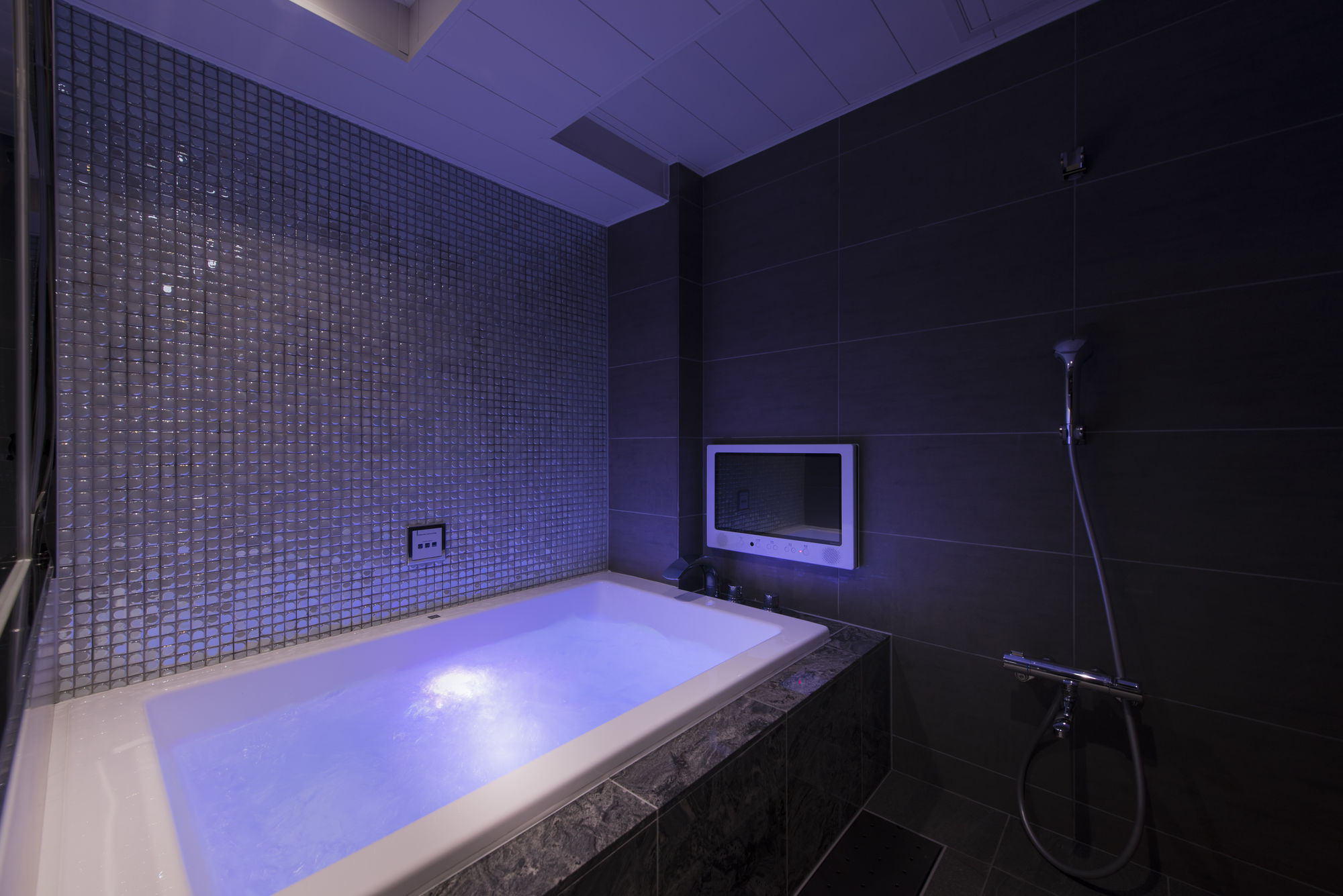 Фото MeguroHolic Hotel