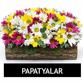 Flower shop Hilda Cicekcilik, Soma, photo