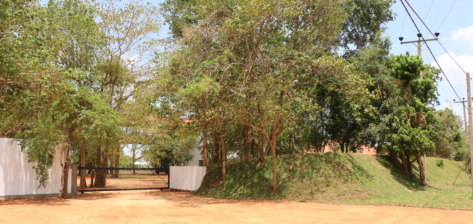 Фото La Jungle Vista sigiriya