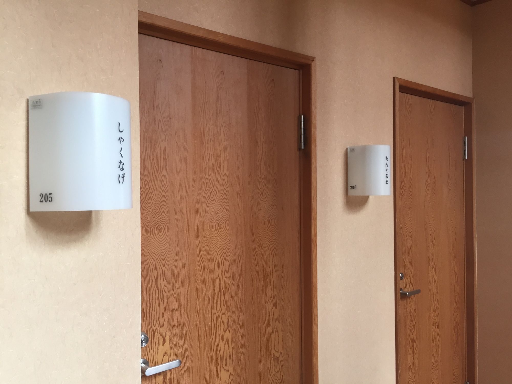 Фото Hakuba Alpine Hotel