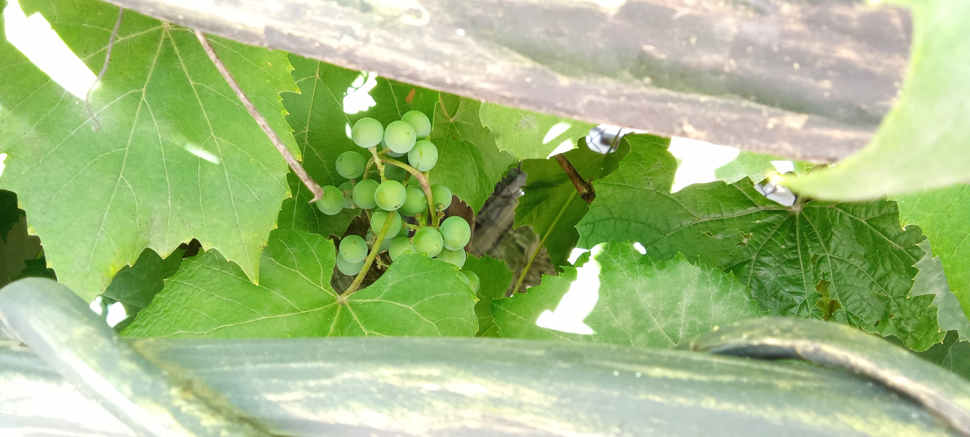 Фото Гостиный дом на Речной