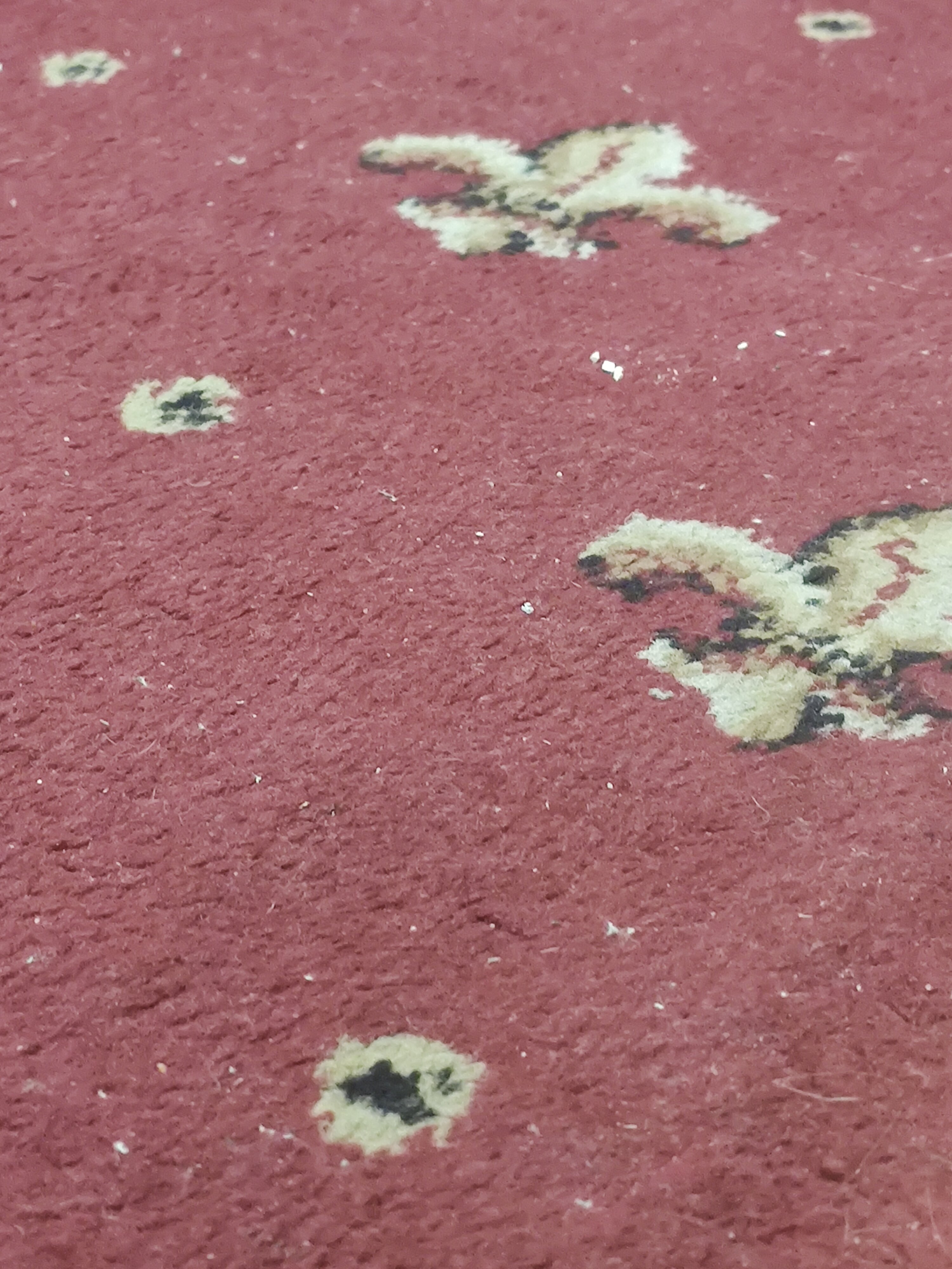 Фото Pan Tourist