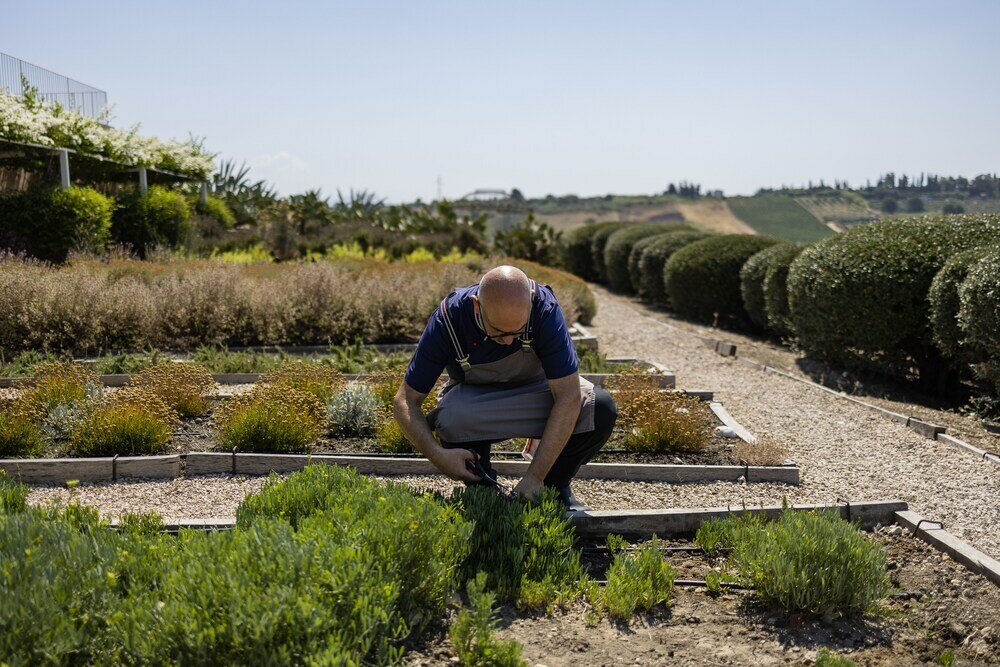 Фото La Foresteria Planeta Estate