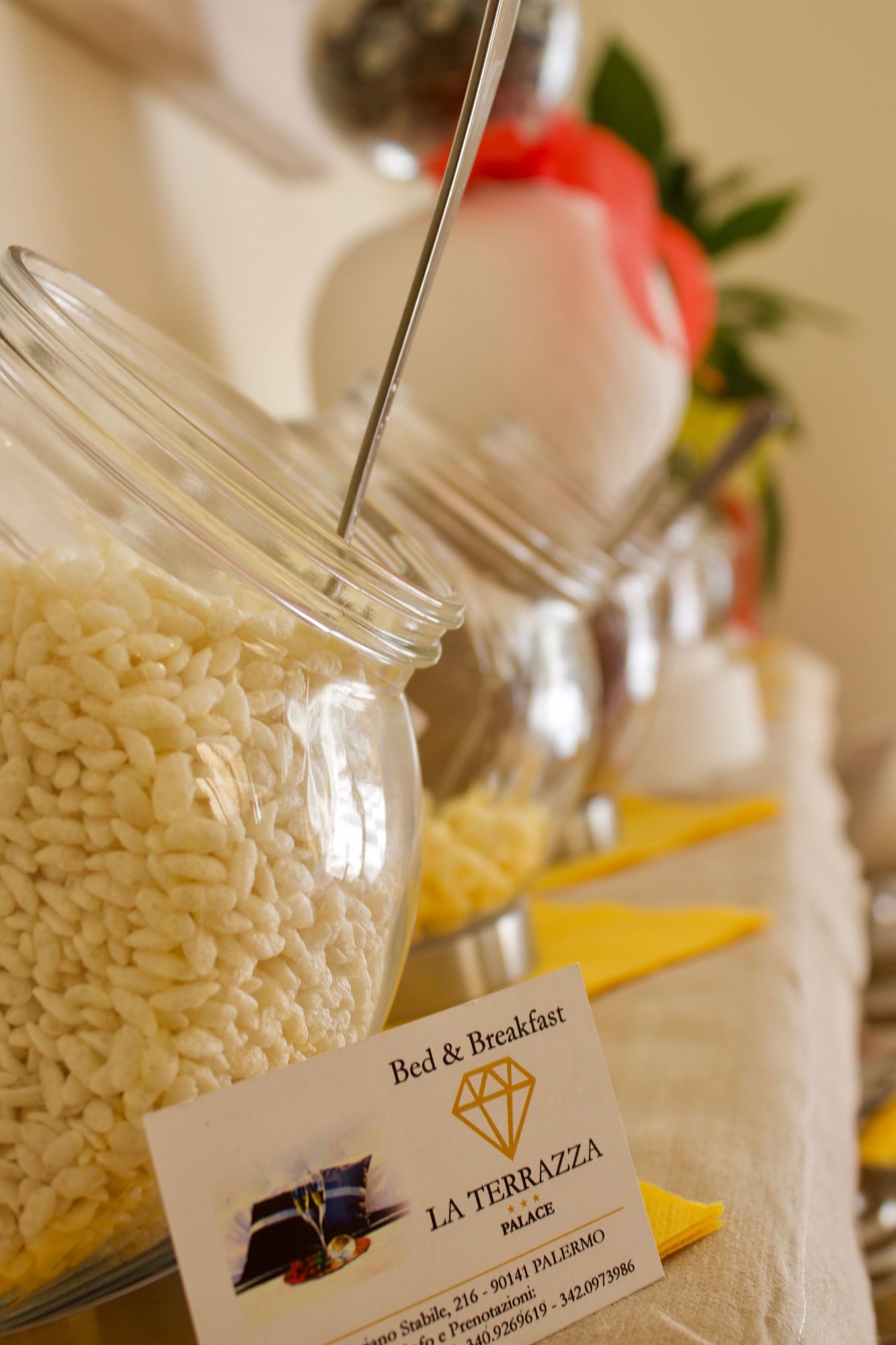 Фото La Terrazza Palace