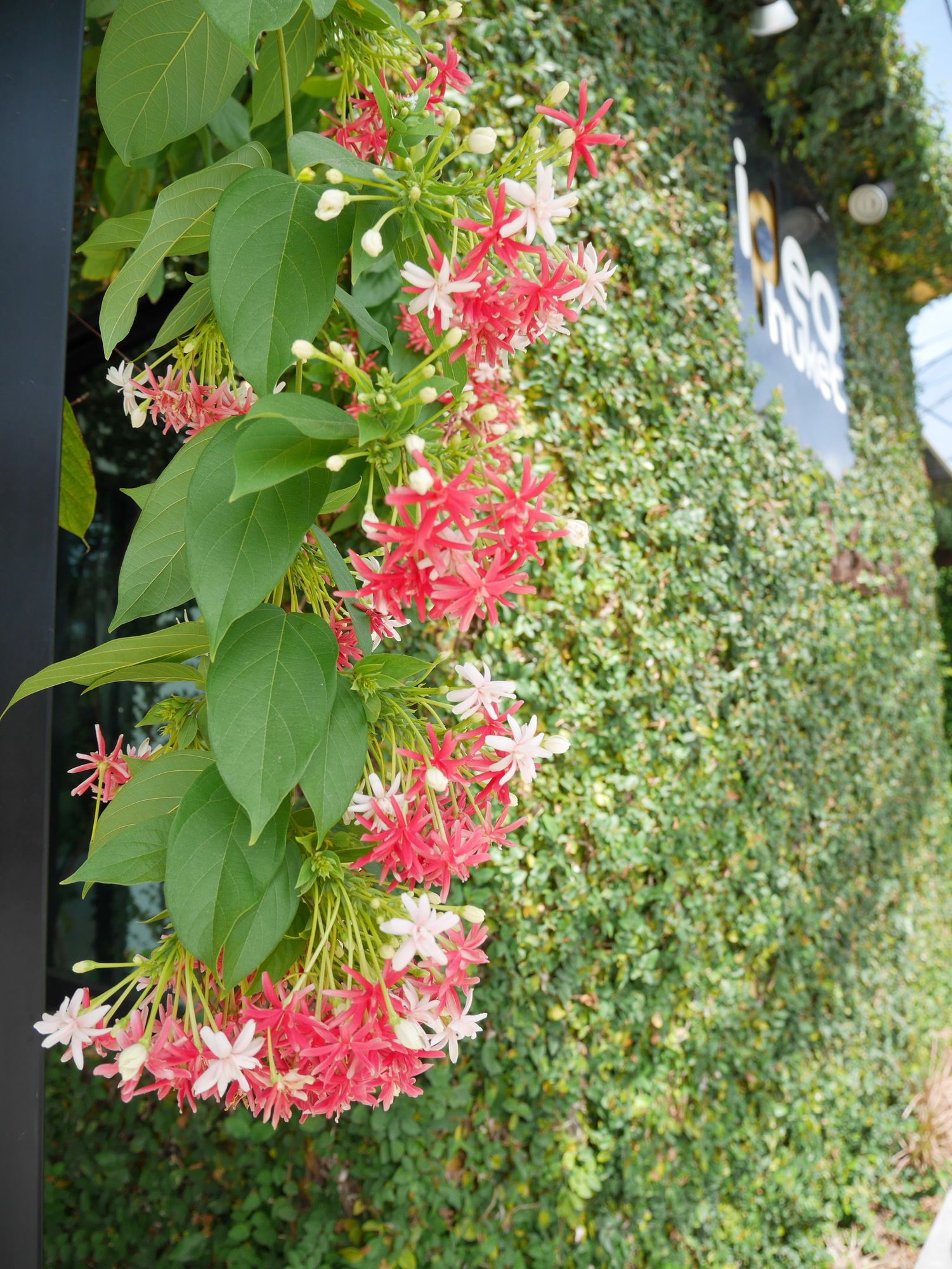 Фото Ideo Phuket Hotel