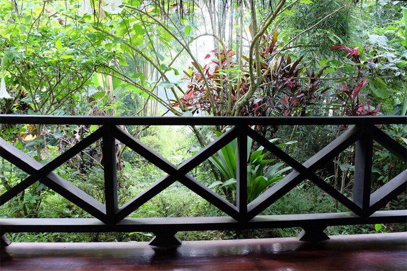 Фото Hillside - Nature Lifestyle Lodge