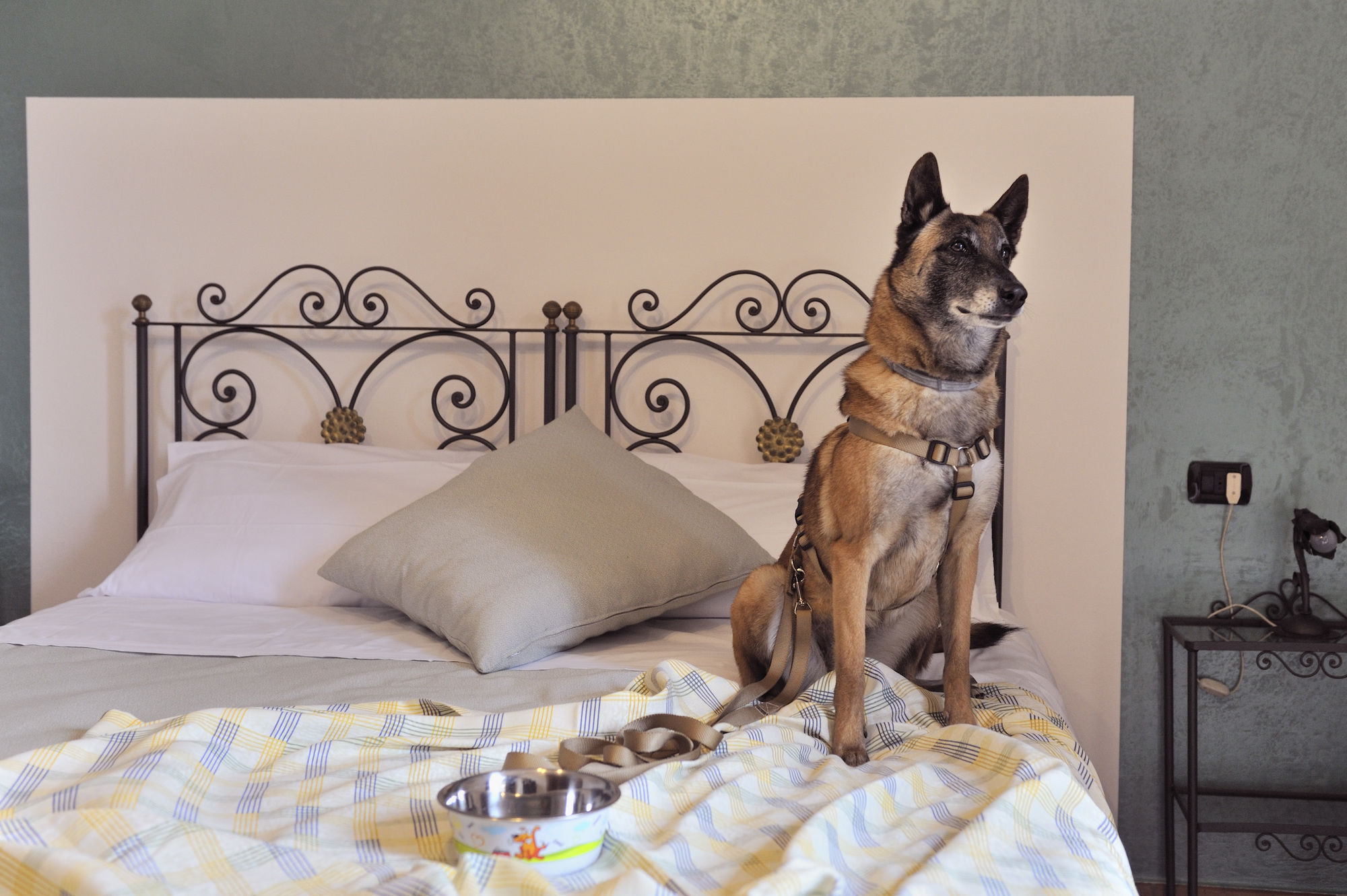 Фото Hotel San Marco