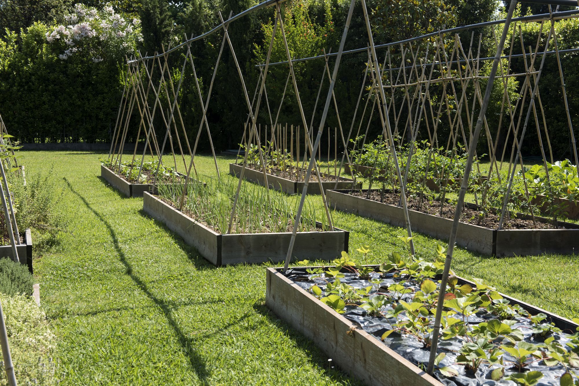 Фото Hermitage Hotel & Resort