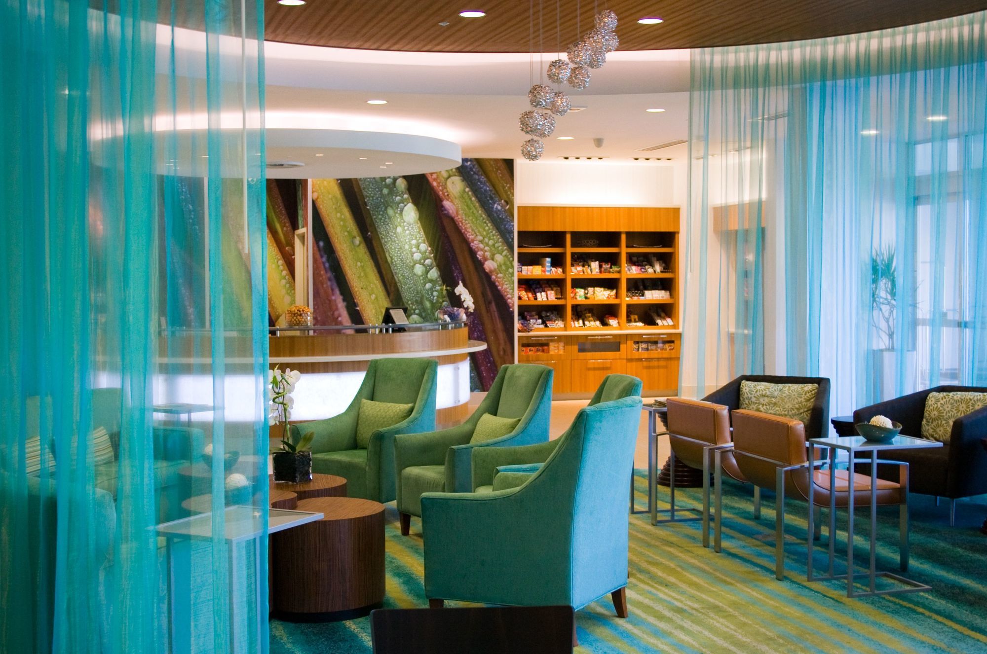 Фото SpringHill Suites Houston The Woodlands