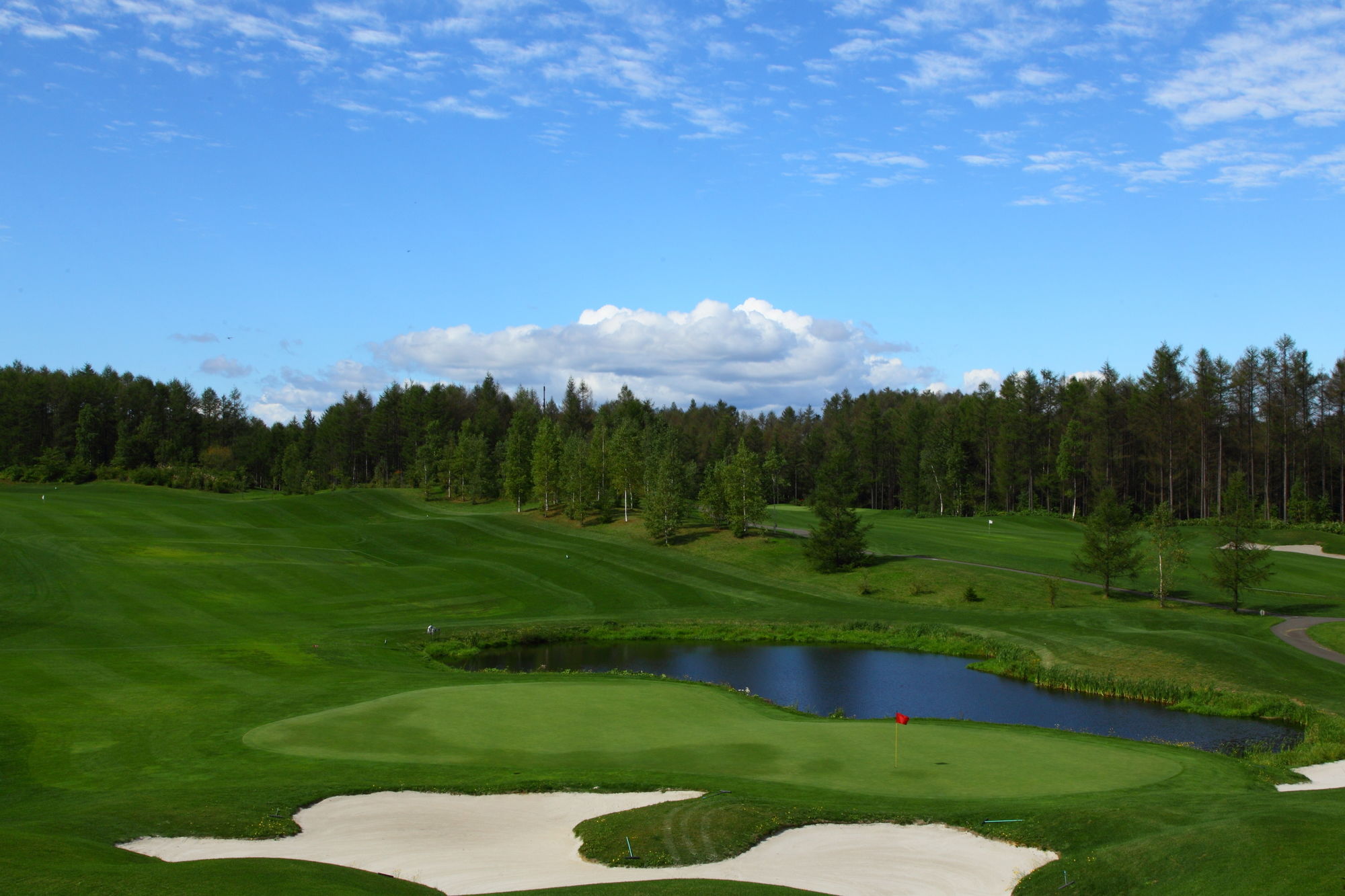 Фото Shin Furano Prince Hotel