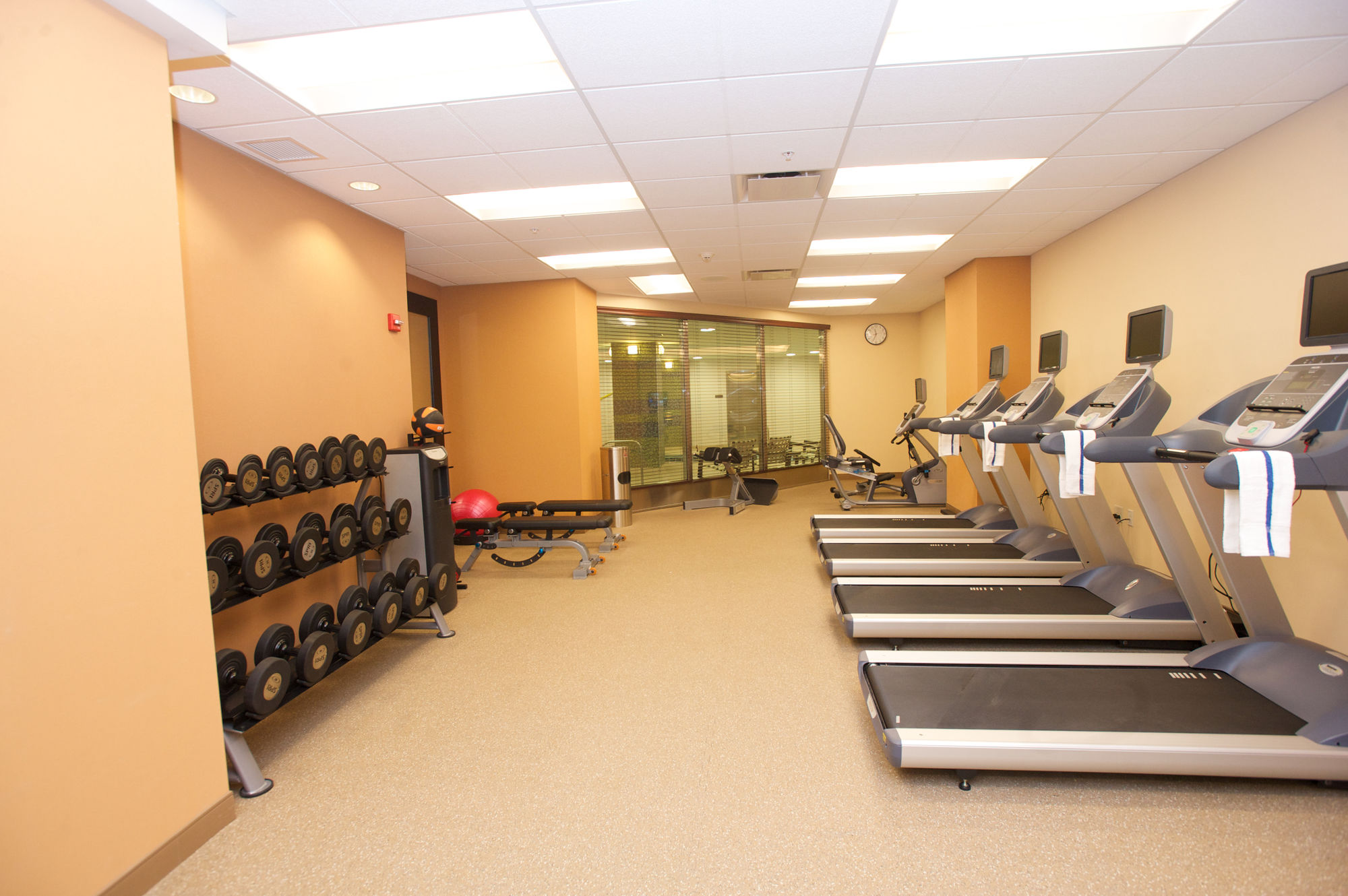 Фото Hilton Garden Inn Buffalo Downtown