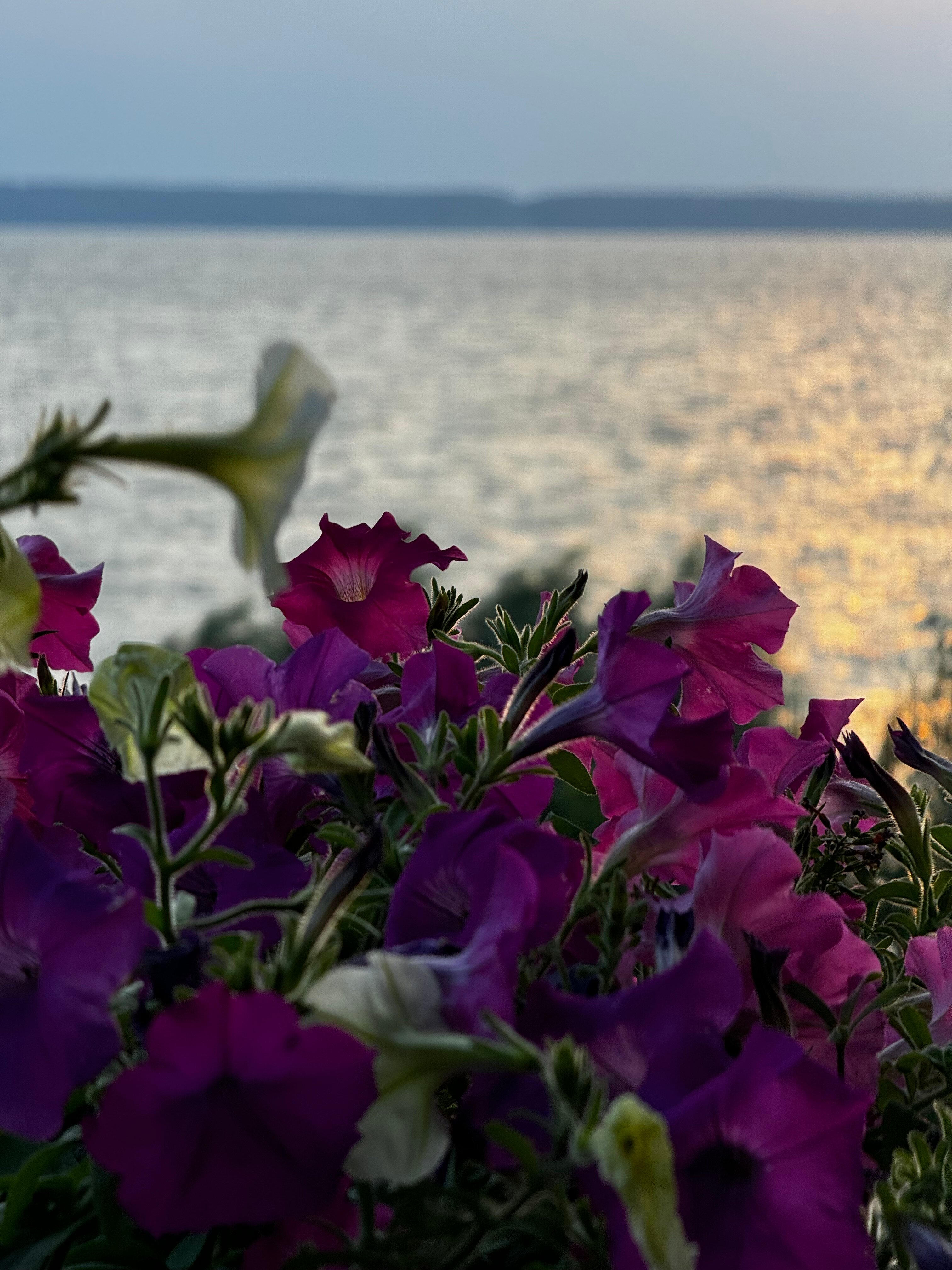 Фото Горы да река