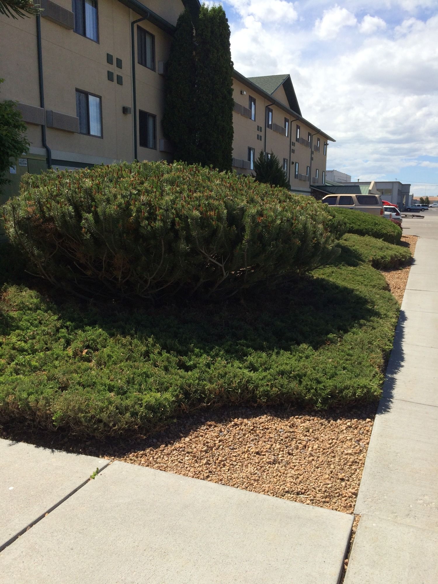 Фото Super 8 by Wyndham Idaho Falls