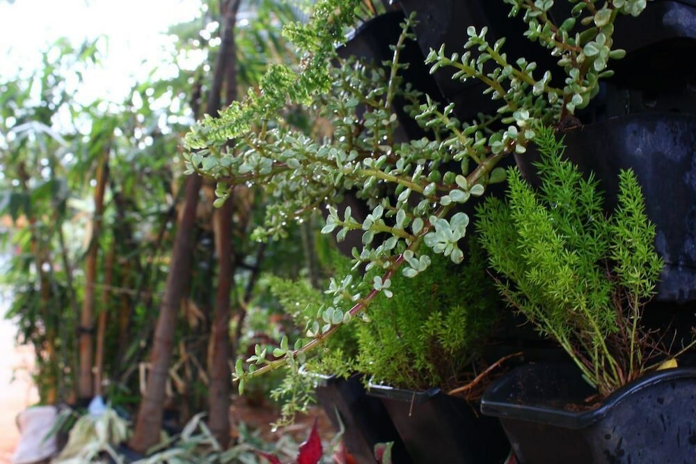 Фото Vgp Golden Beach Resort