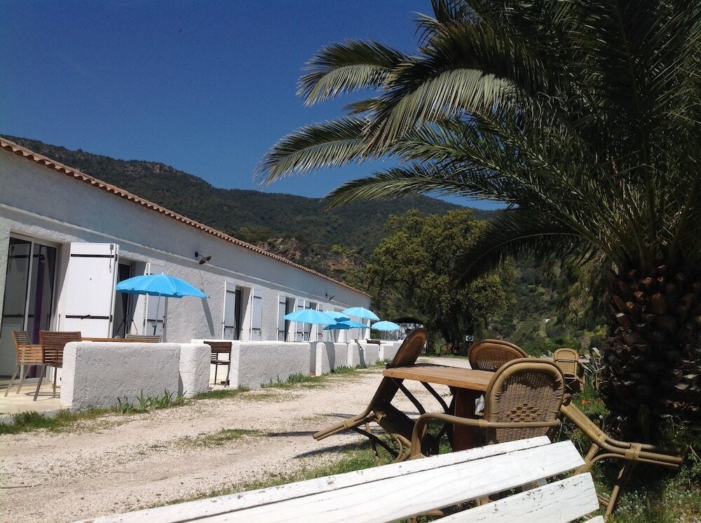 Фото 239591915500