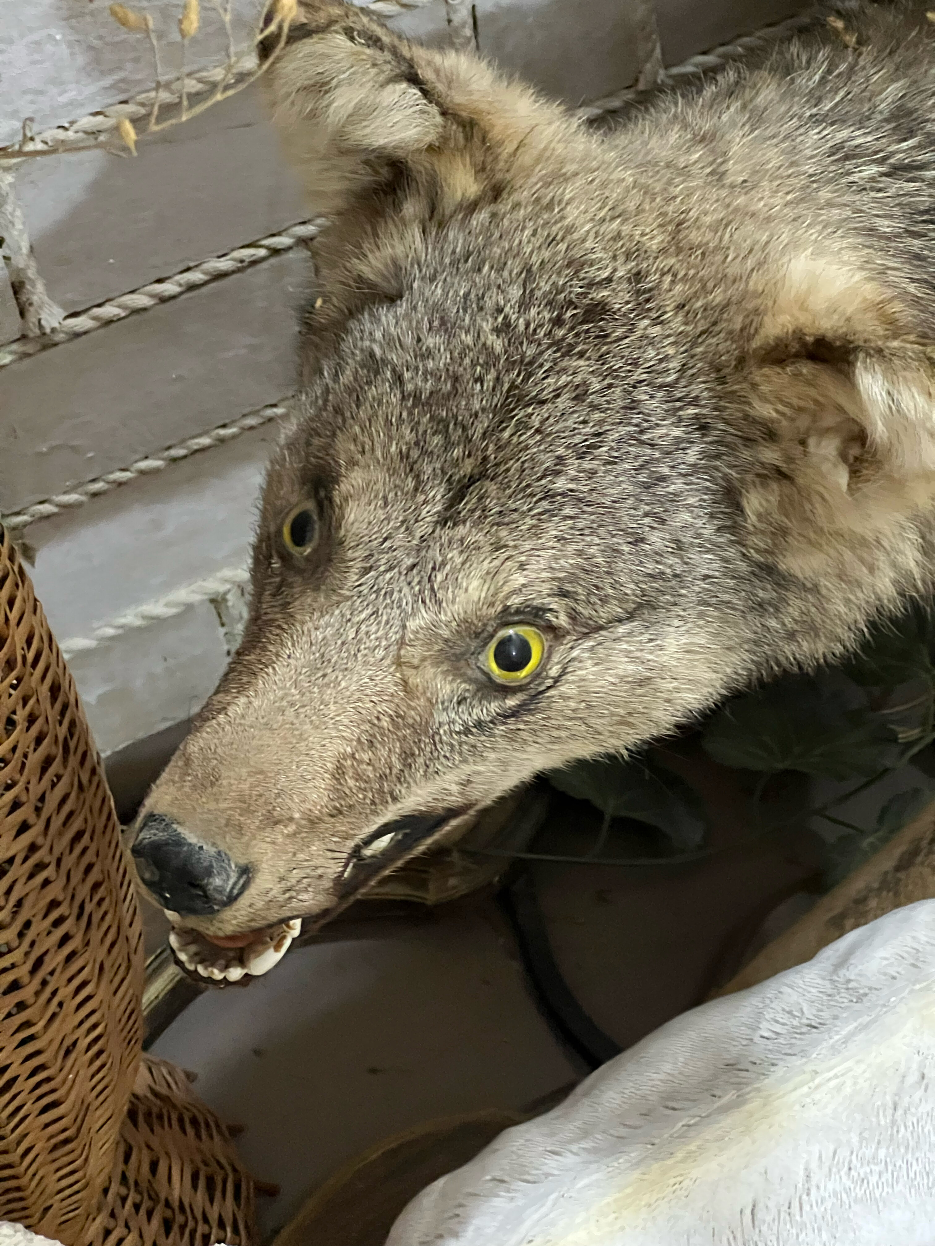 Фото Марина