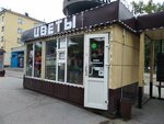 Цветы (Kirova Street, 2Б) ، محل زهور