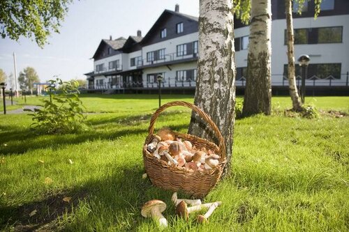 Дом отдыха Grand Adventure в Брейтове