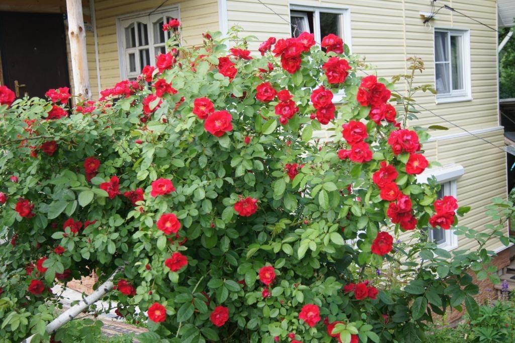 Фото Дом Солнца