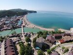 Альбатрос