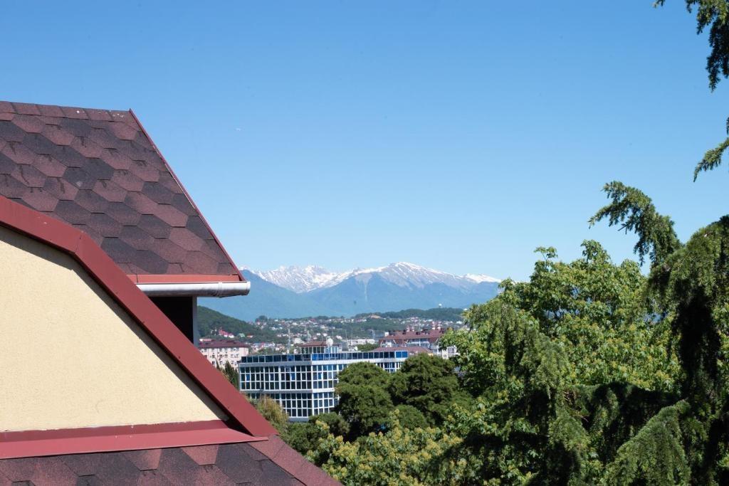 Фото Альмира