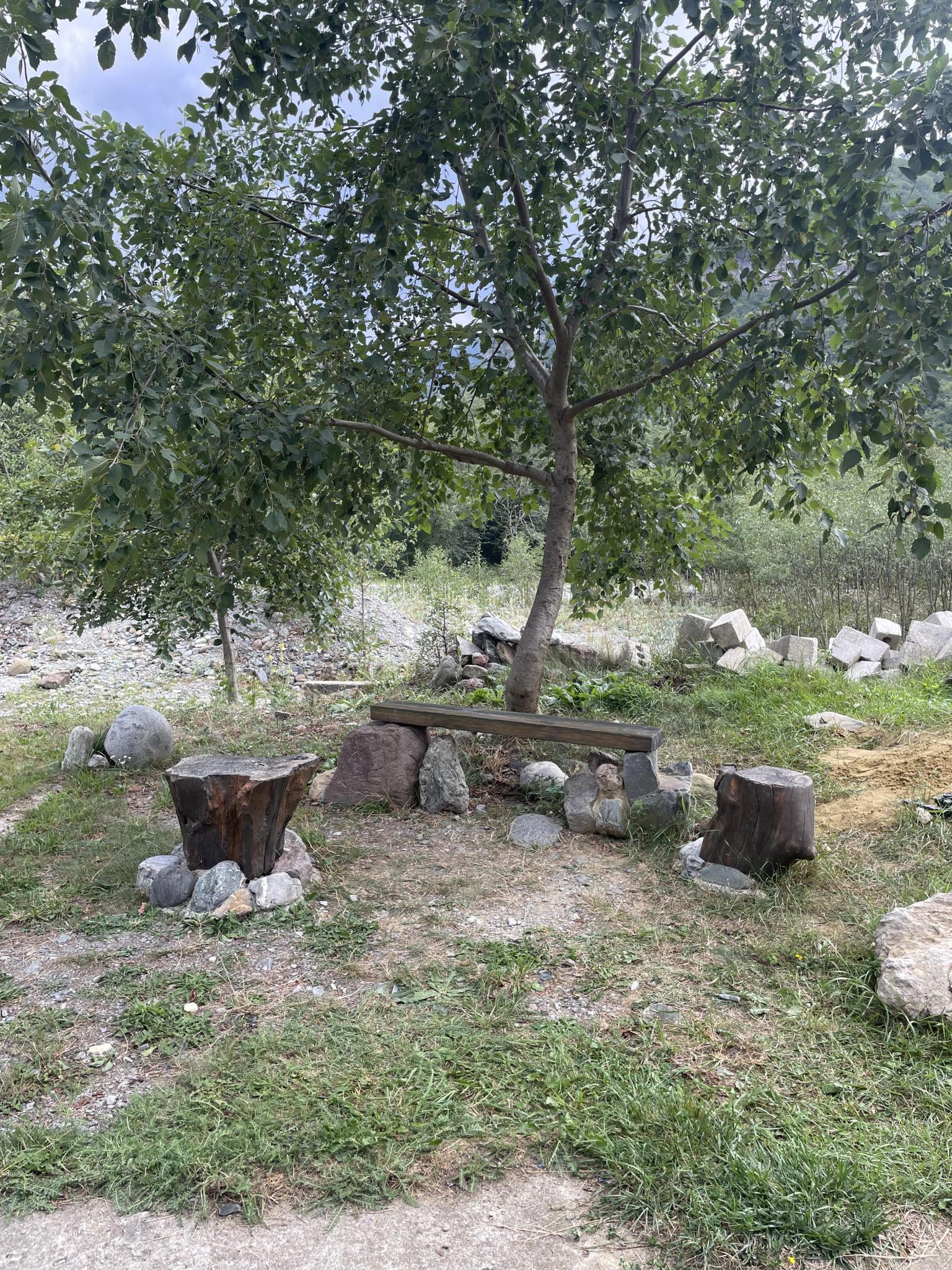 Фото Зеленый берег